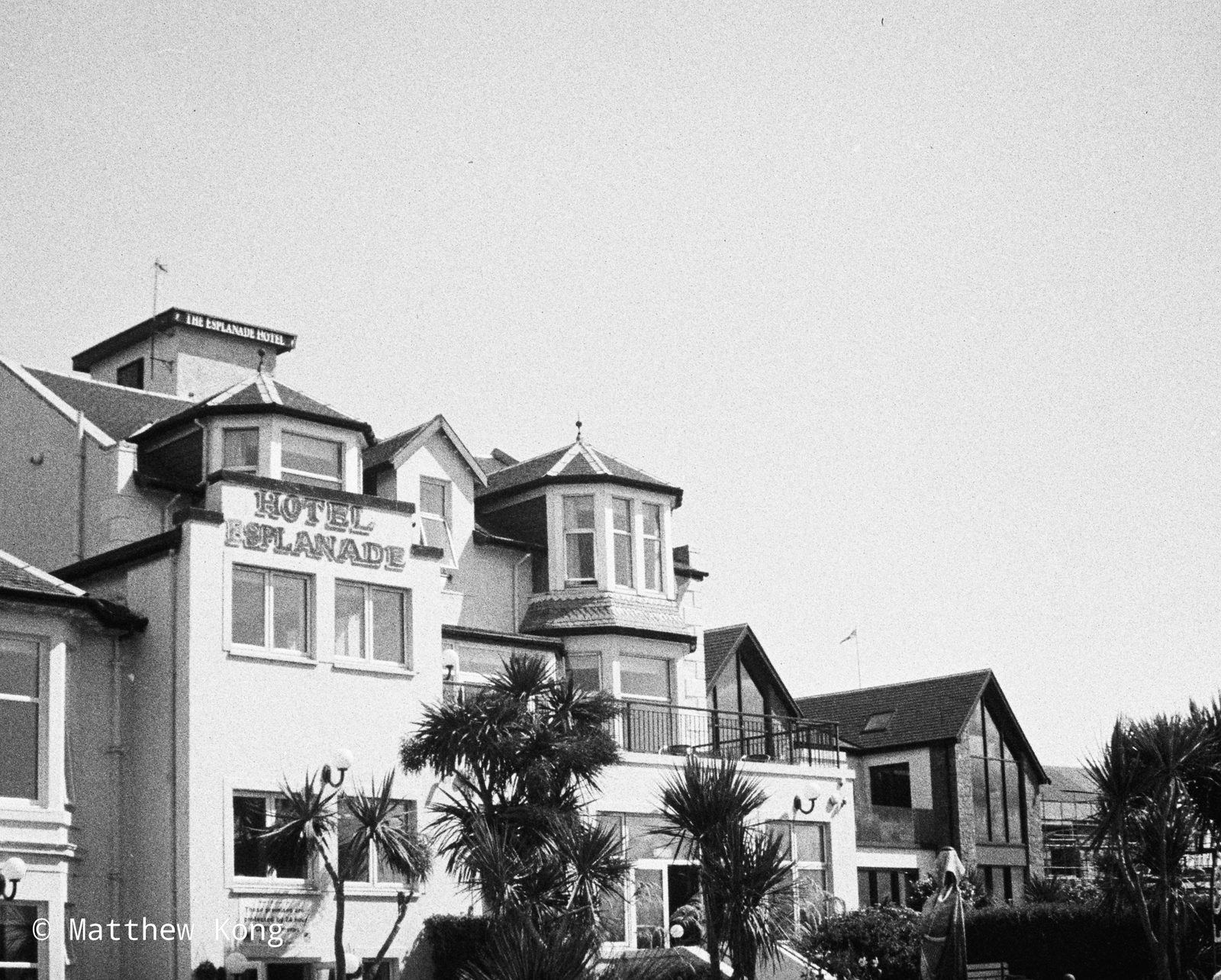 The Esplanade Hotel, white gables and bay windows above a row of cabbage palms.