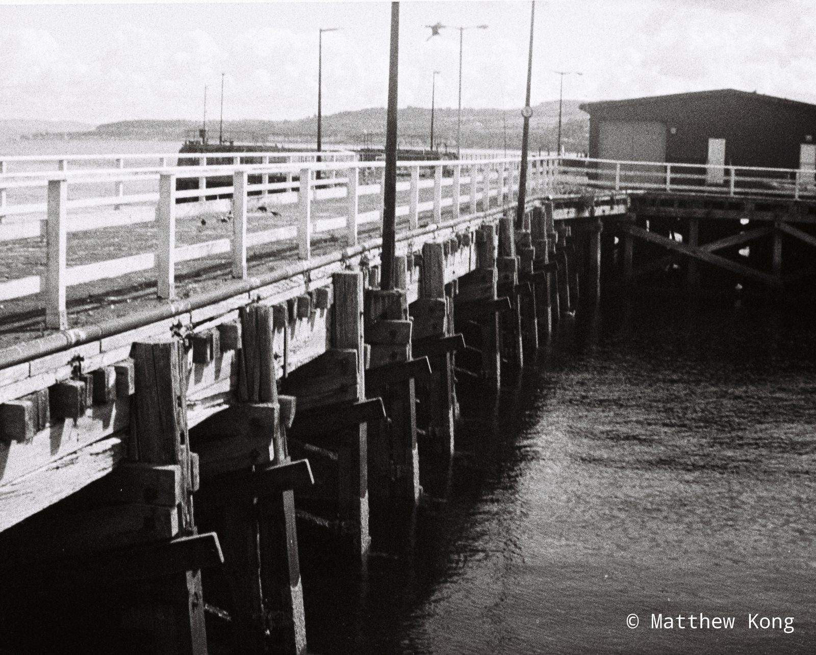 The boardwalk running out over the water, its white railings and worn piles receding into the distance.